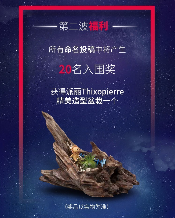 Thixopierre征名獎品2